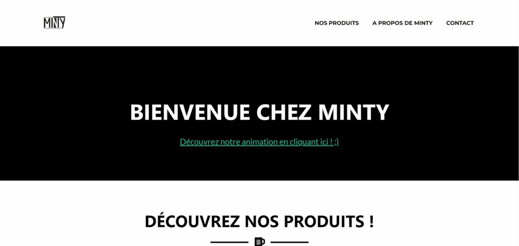 site minty projet SAE