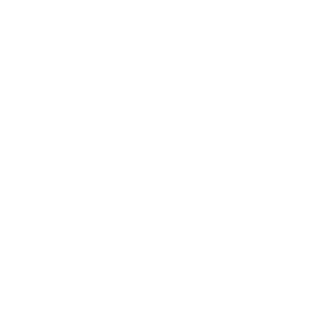 logo portofolio-Nicolas Klutsch-Synowiecki NKS